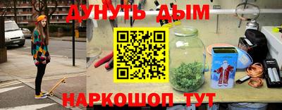 крисы Канаш