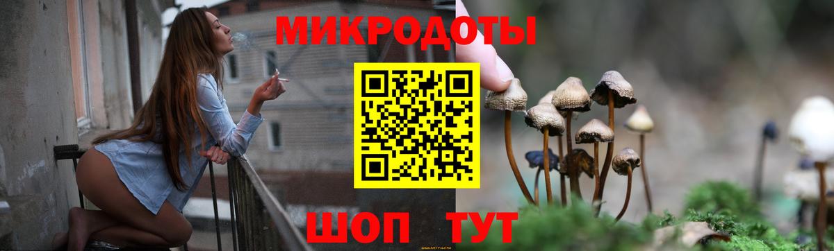 Галлюциногенные грибы GOLDEN TEACHER  Галлюциногенные грибы Magic Shrooms  купить закладку  Янаул  Вход с VPN 